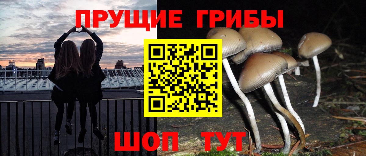Галлюциногенные грибы Psilocybe  Галлюциногенные грибы MAGIC MUSHROOMS  Архангельск  что такое наркотик  Вход с VPN 